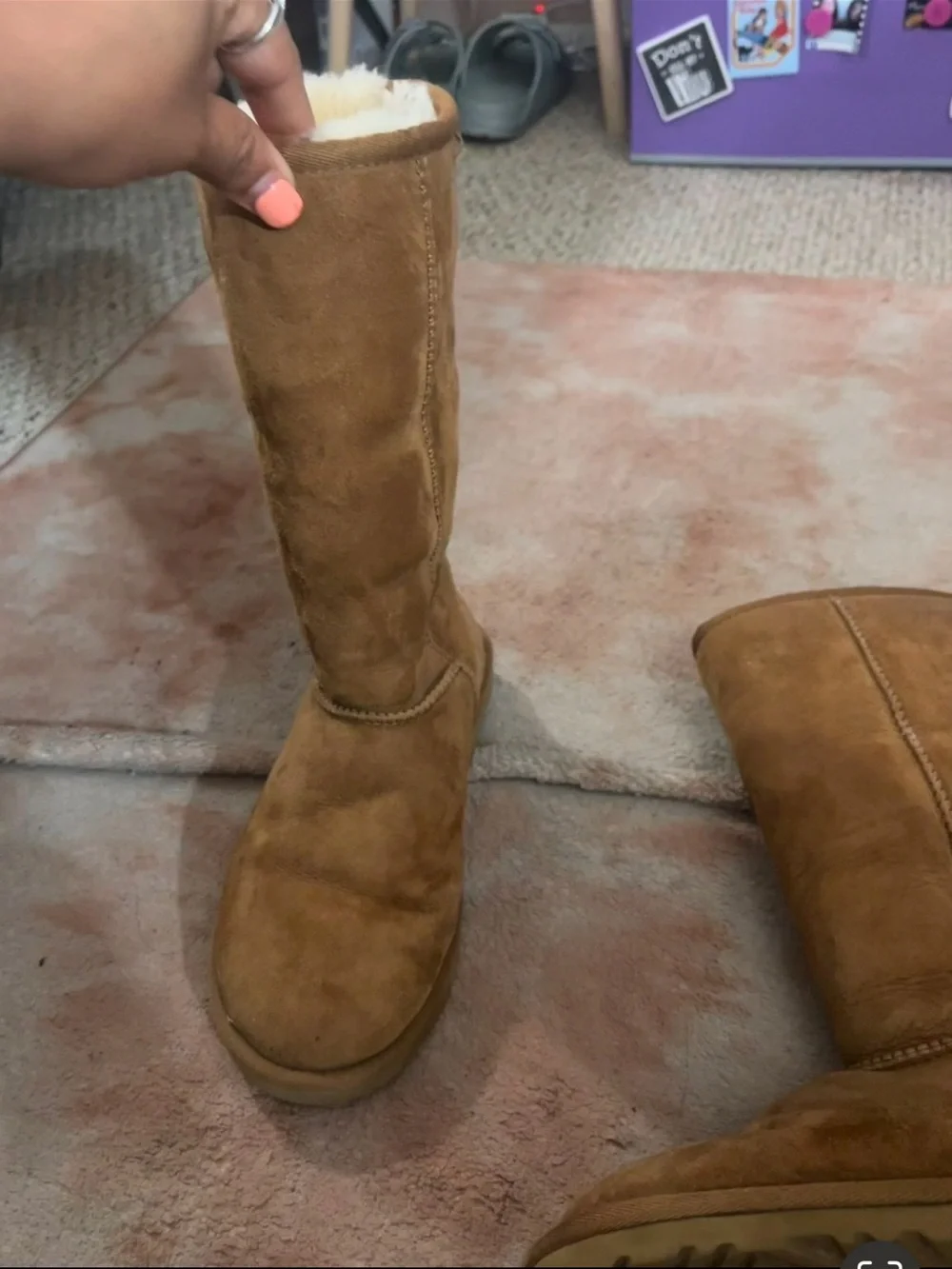 UGG Women's Tall Shearling-Lined Boots in Chestnut Suede